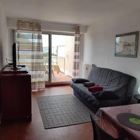 Grand Studio Avec Terrasse 200 M Apartment *